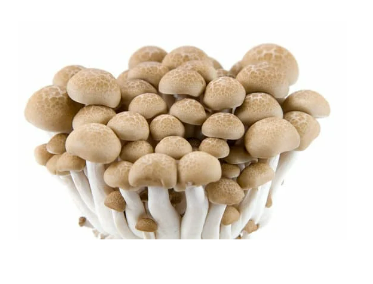 Buna Shimeji Mushroom	灵兰菇(150g)