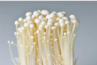 Enoki Mushroom金针菇(100G )