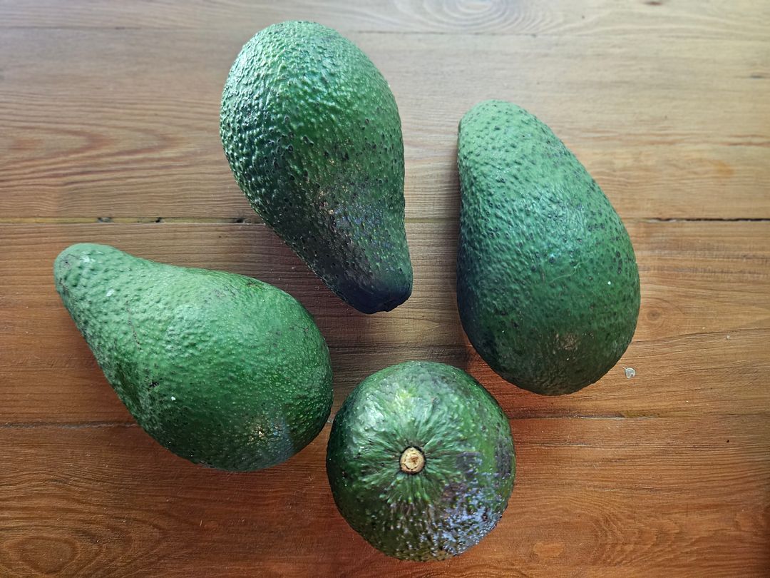 1kg avo's