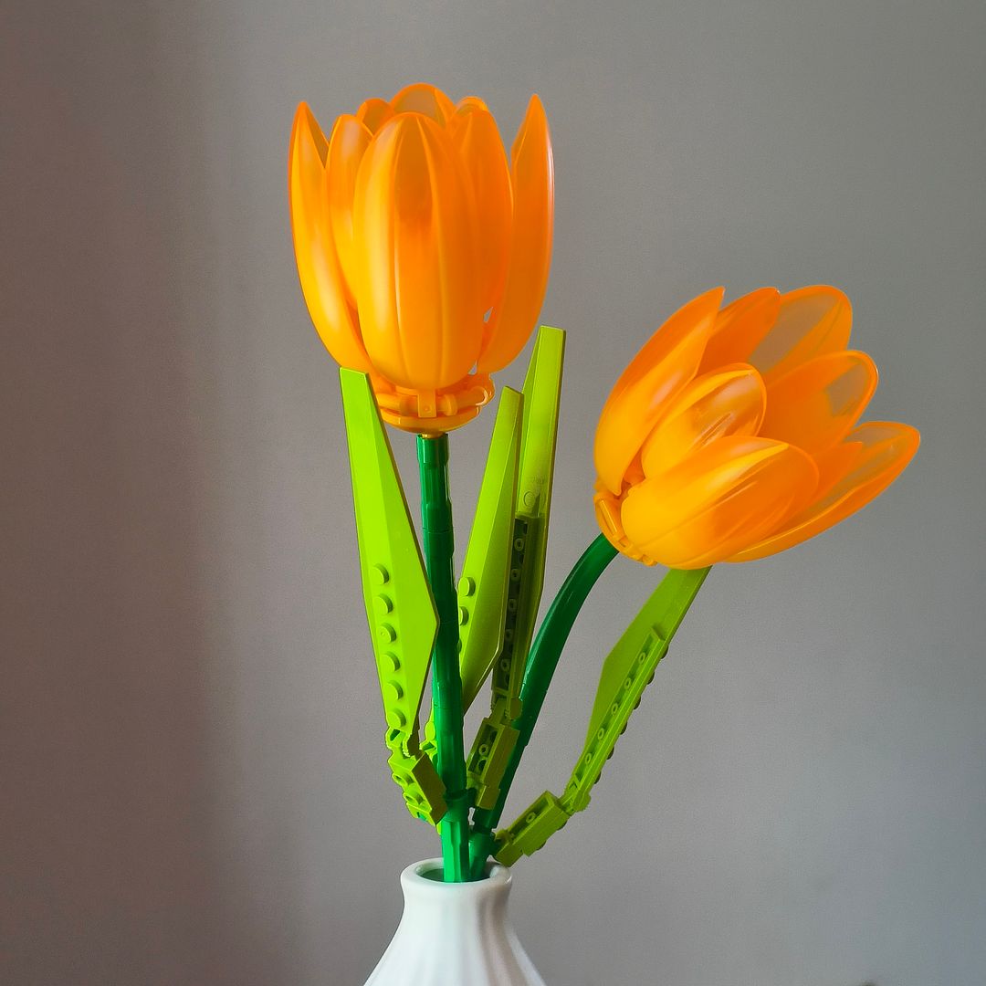 Orange Tulips