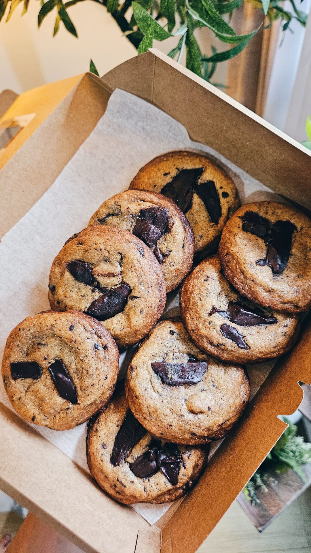 Big Brown Butter Chewy Cookies