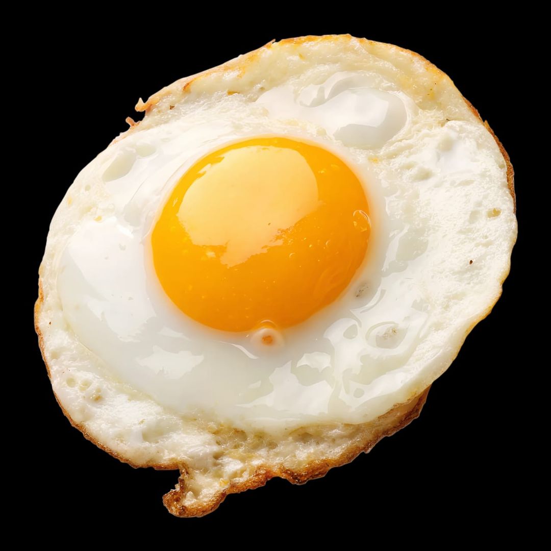 Egg