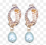 Charlotte Earrings 