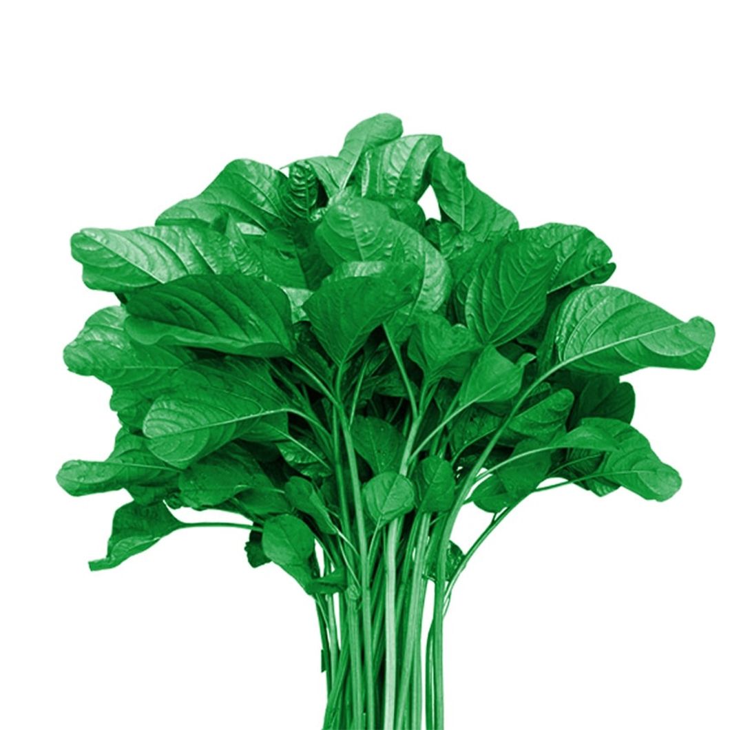 Green Spinach