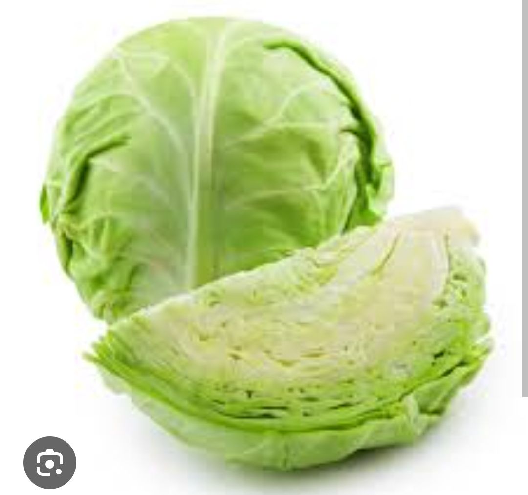 Cabbage