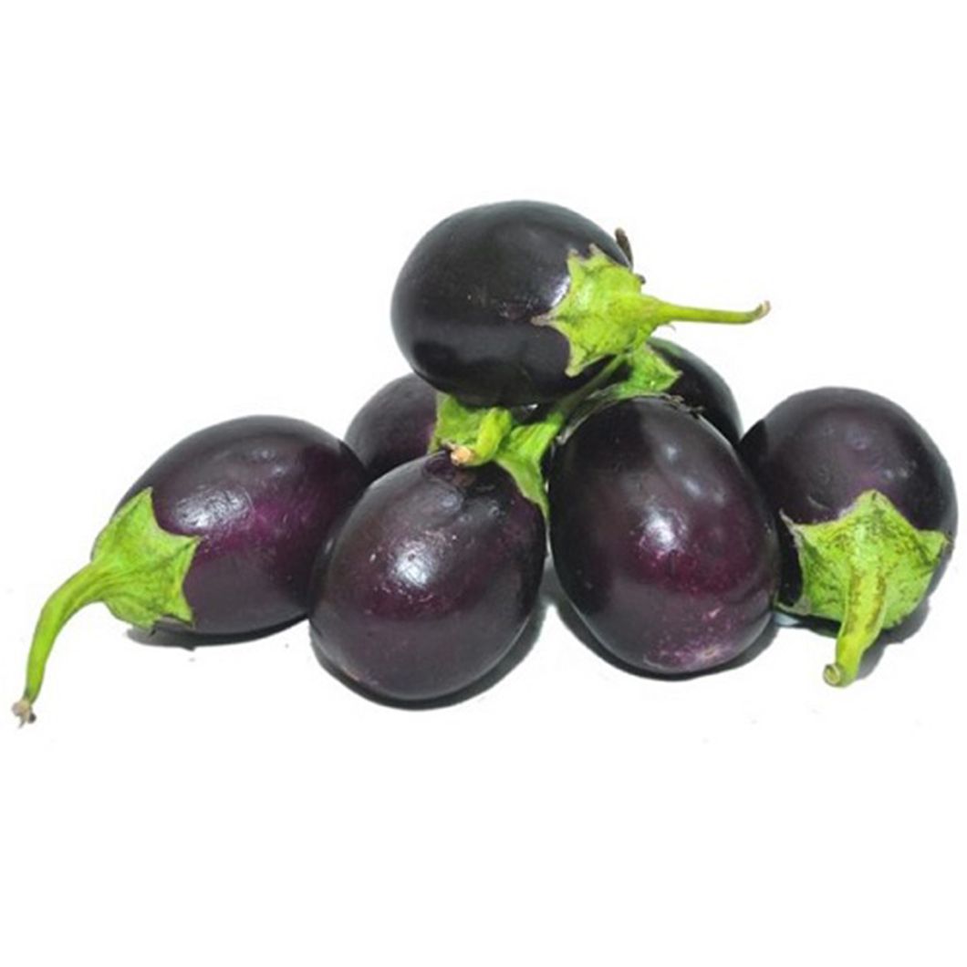 Baby Eggplants Brinjal 