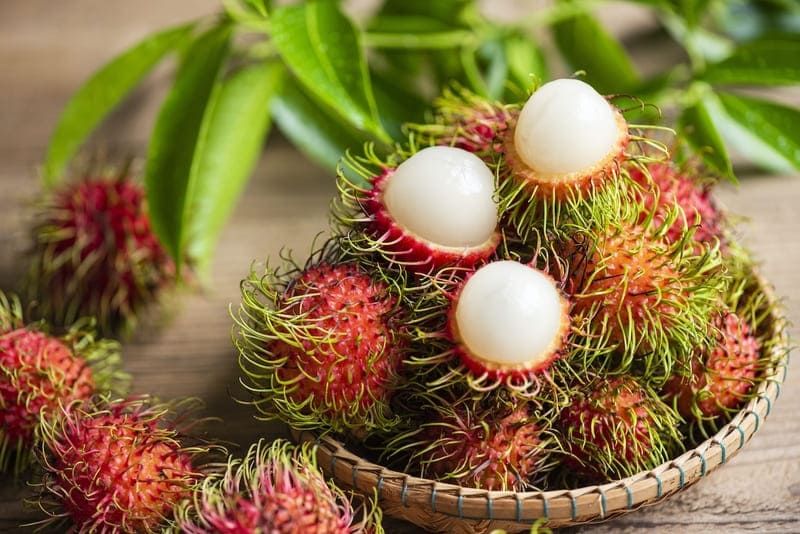 Rambutan