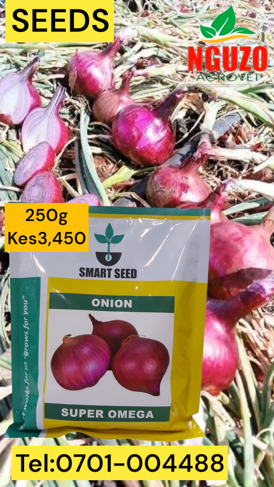 SUPER OMEGA ONION SEEDS