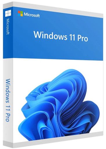 Windows 11 Pro OEM