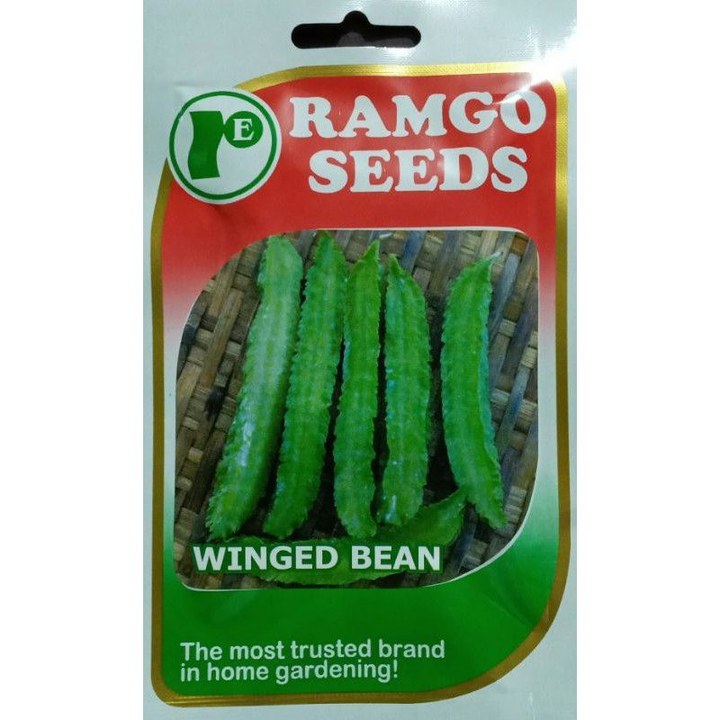 Sigarilyas - Winged Beans RAMGO