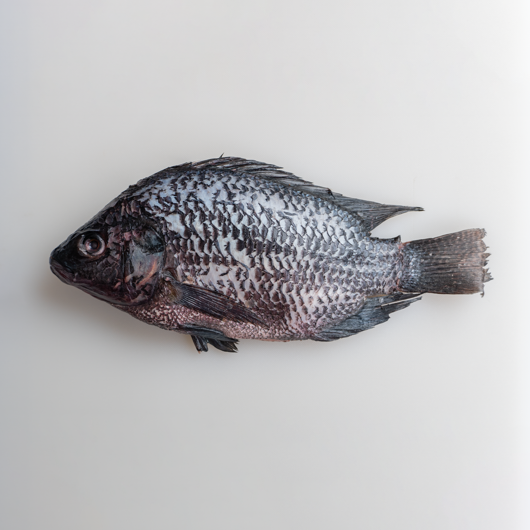 Whole Tilapia - 600g/pc