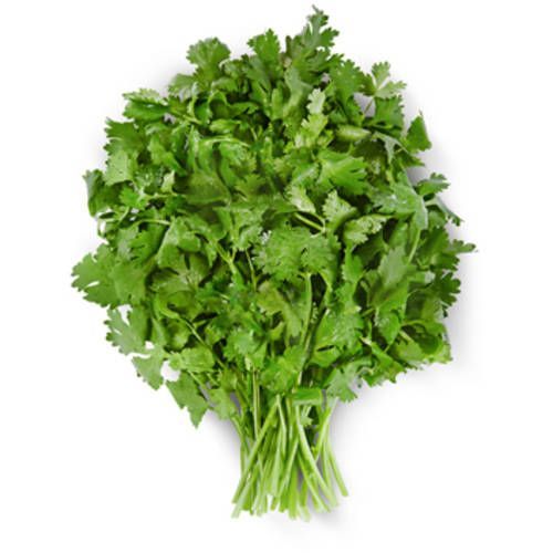 Coriander