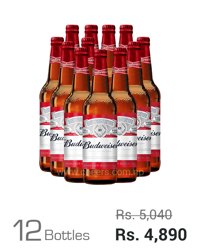 Budweiser Premium 650ML x 12 Bottles