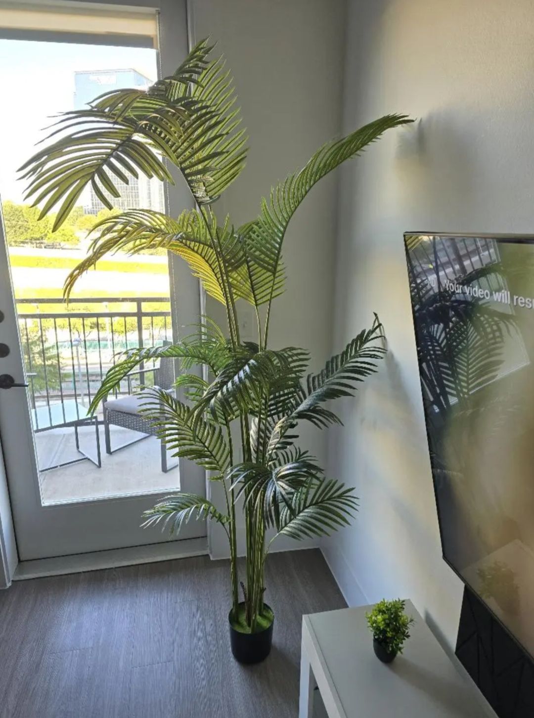 Artificial palm plant for home. Offices, living room and modern spaces.