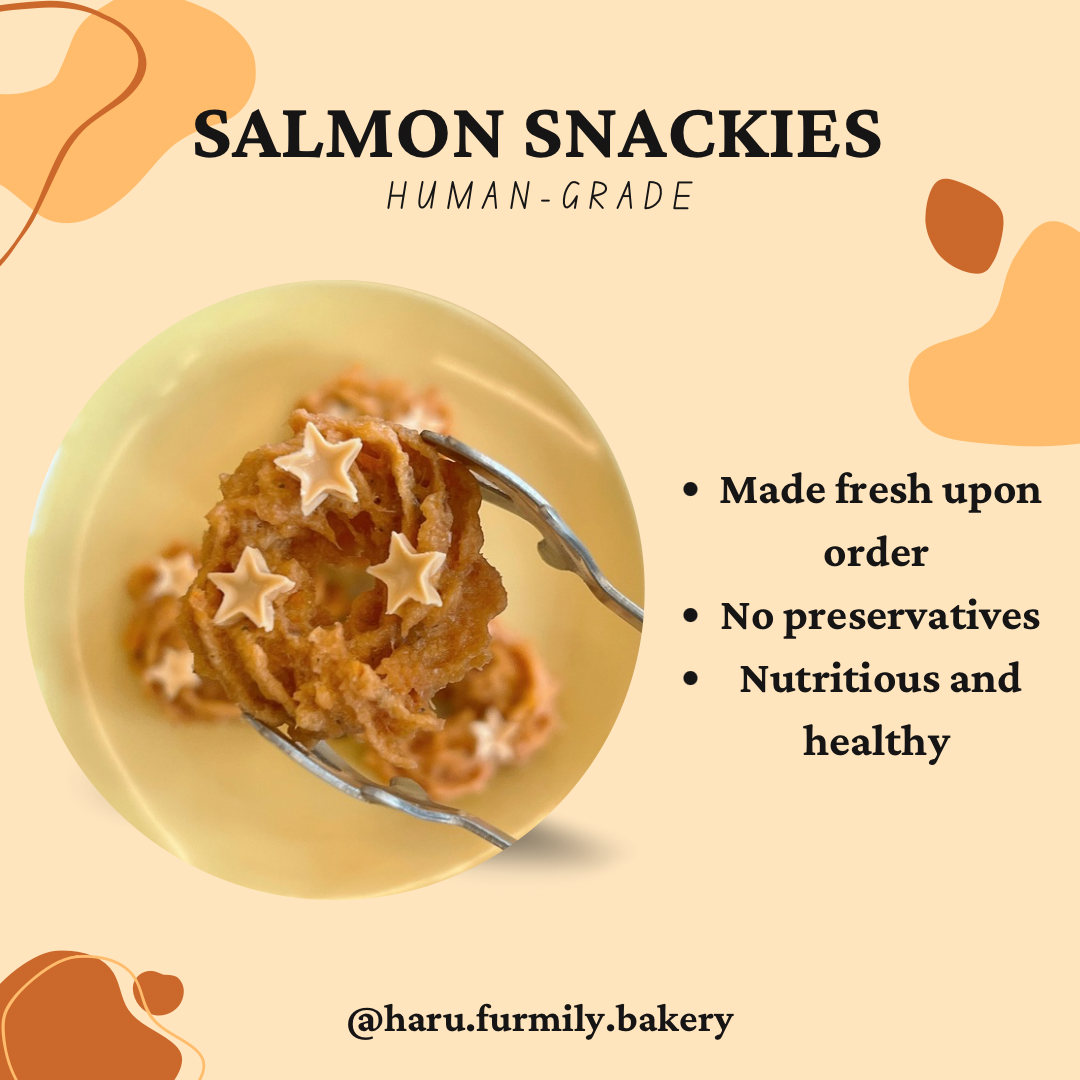 Salmon Snackies