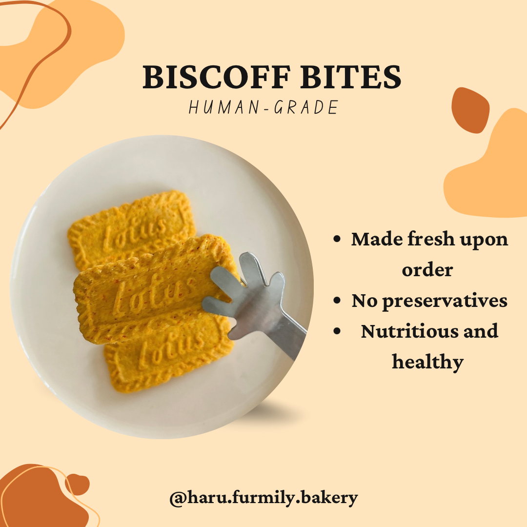 Biscoff Bites