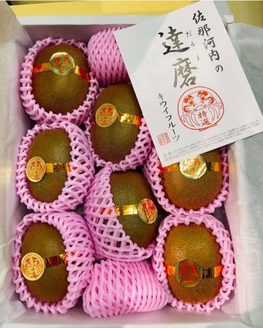 Daruma Kiwi (Sanagochi, Tokushima Prefecture)  | 達磨キウイ