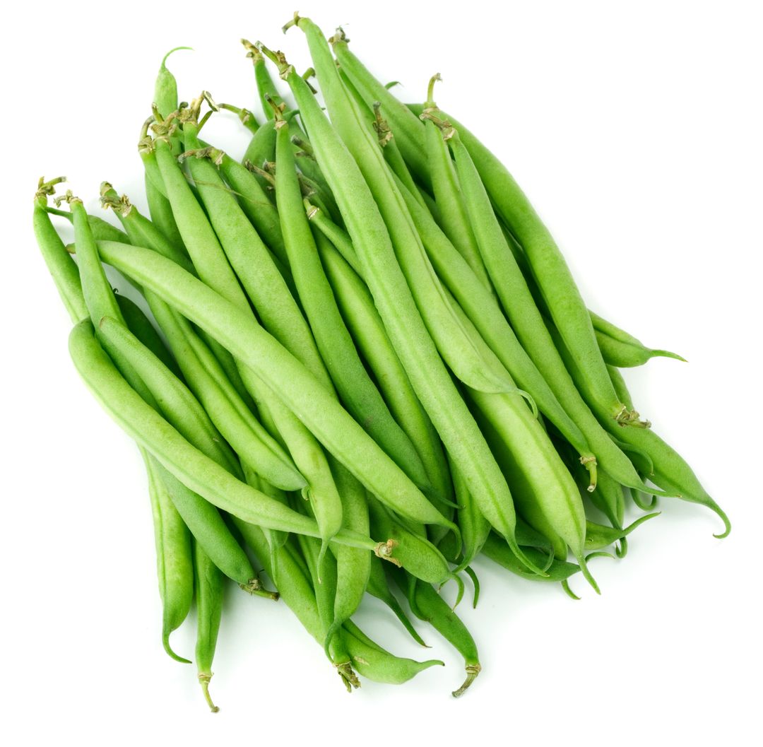 Haricot - Vert