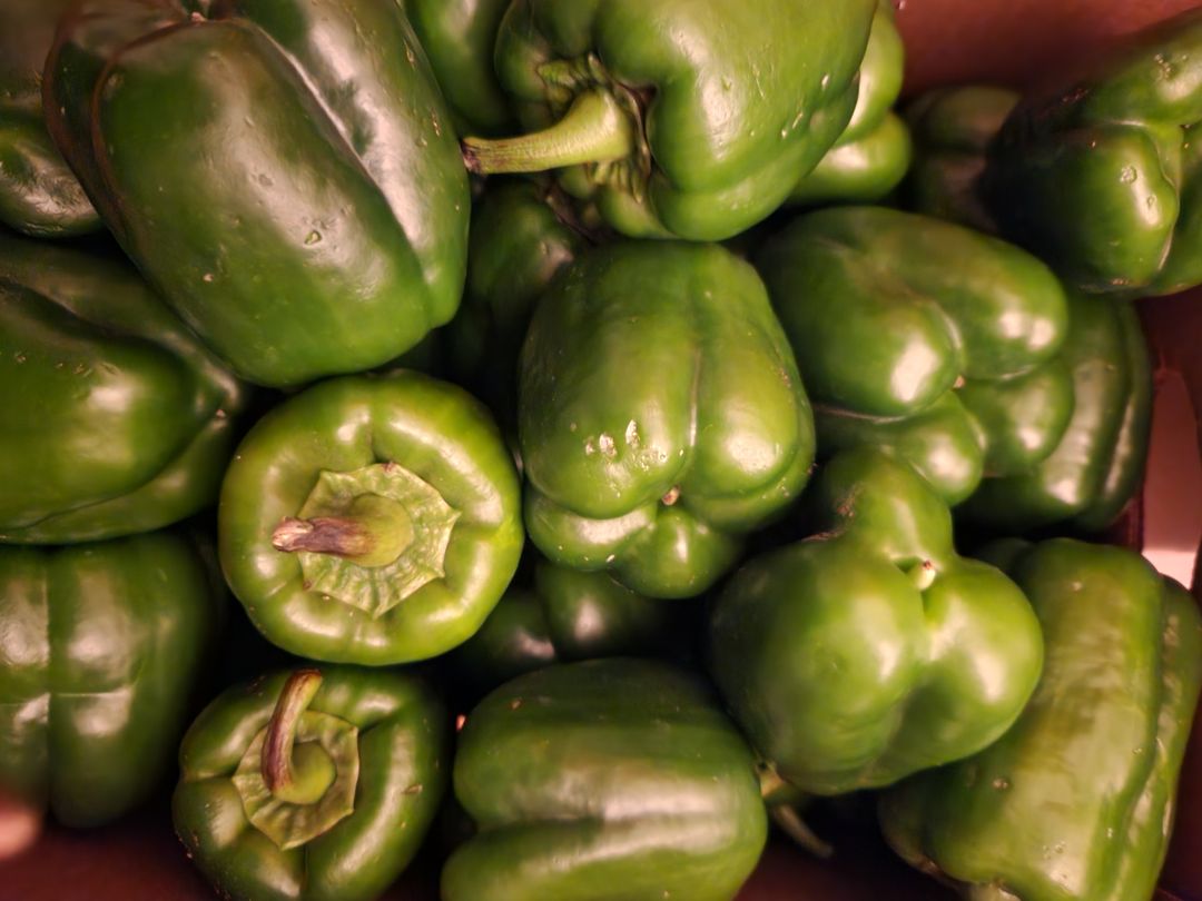 Green Pepper