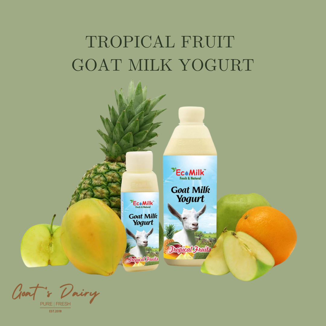 Tropical Fruits Goat Milk Yogurt