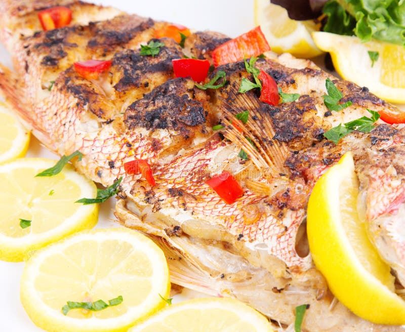 Whole Red Snapper