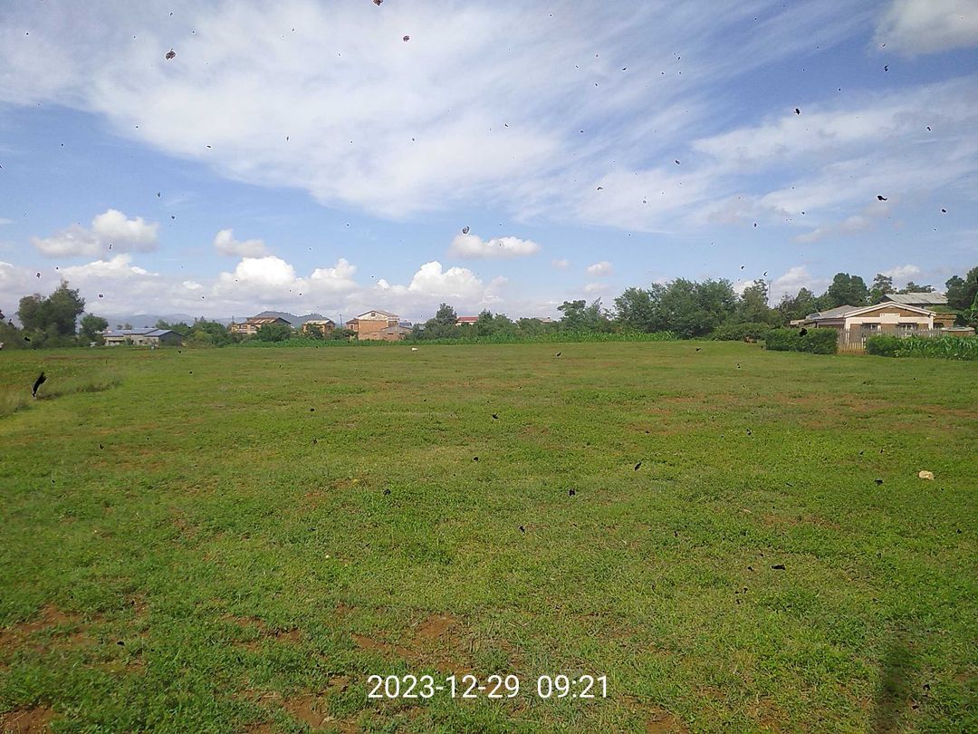 Terrain 5000m² - Sahatsiho - Antsirabe