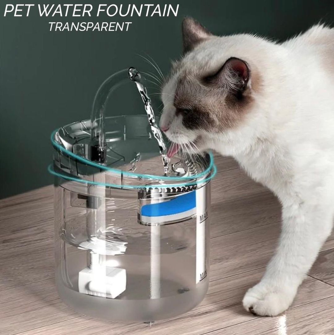 Pet Water Fountain