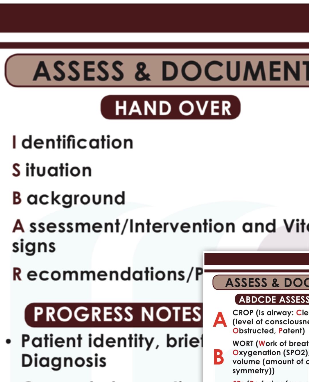 Assess and document card pdf (free PSNEP guide)