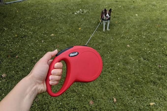 Retractable Leash 5m