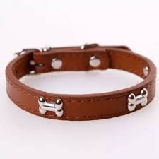 Leather Dog Collar