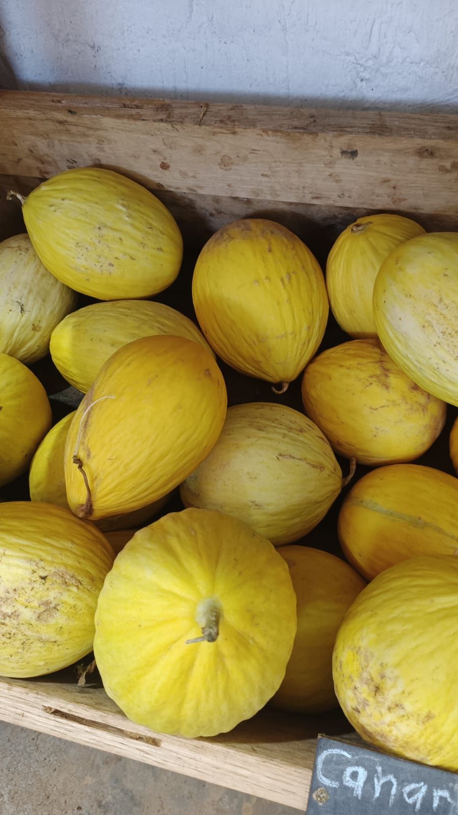 Organic canary melon