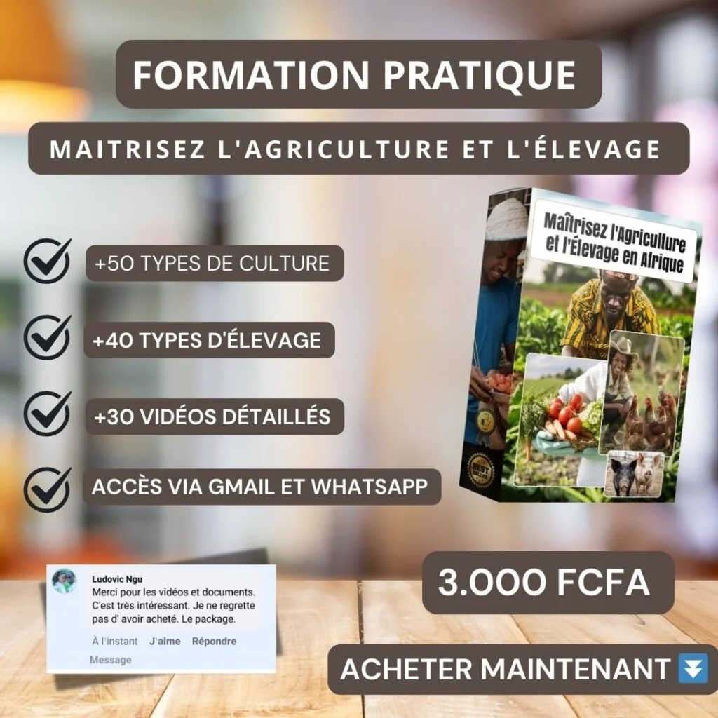 Formation agriculture et élevage 