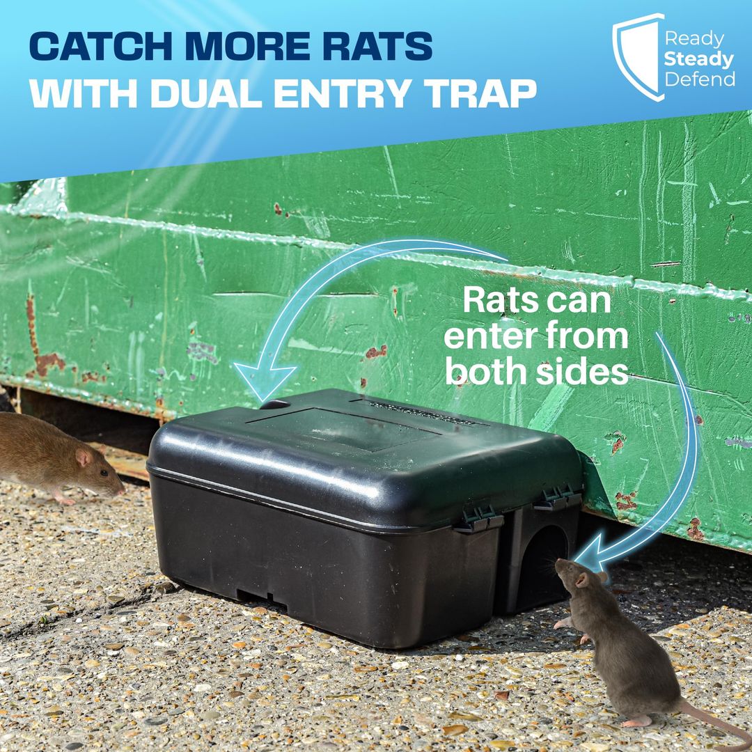 Rat Traps