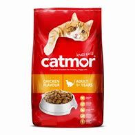 CATMOR ADULT CHICKEN JELLY 70GR