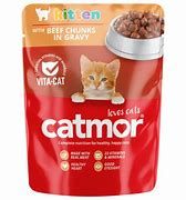 CATMOR ADULT BEEF CHUNKS GRAVY 70GR