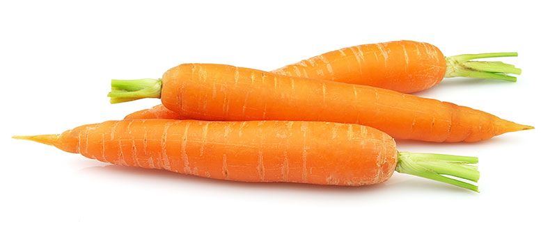 Carrot