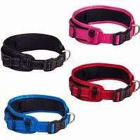 CLASSIC PADDED DOG COLLAR XXL