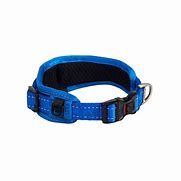 CLASSIC PADDED DOG COLLAR L