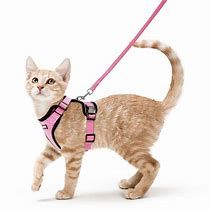 CLASSIC CAT HARNESS AND LEAD SET SMALL