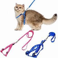 CLASSIC CAT HARNESS AND LEAD SET XSMALL