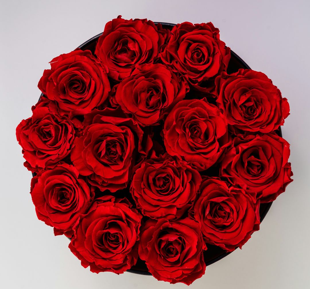 Red Roses Bouquet (5-12 stems, simple wrapping)