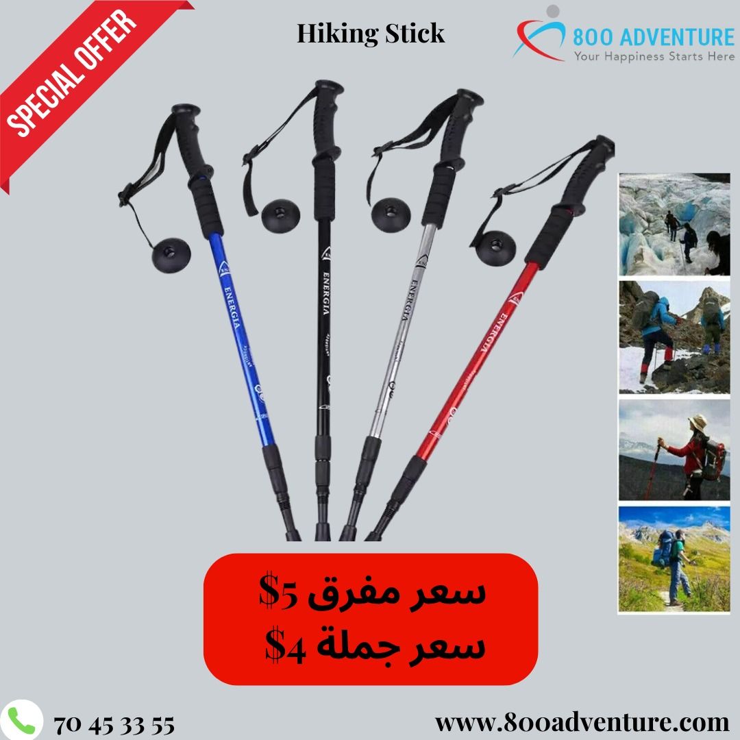 Hiking Stick