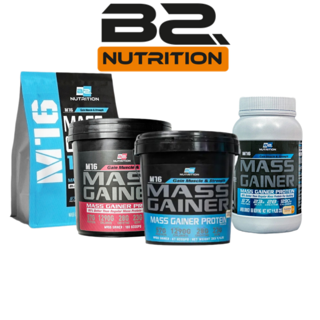 BS M16 MASS GAINER