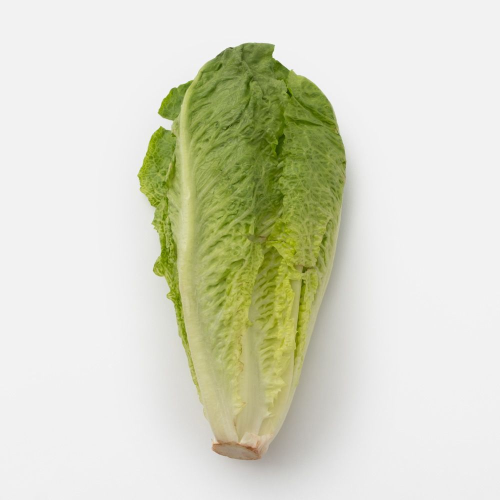 Lettuce 500g