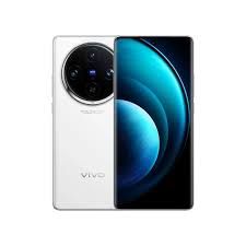 Vivo X100