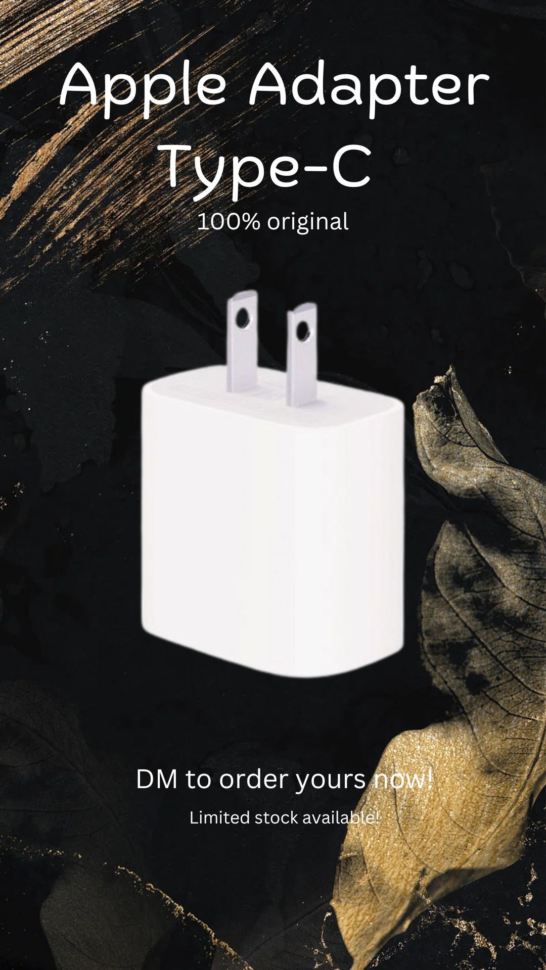 Apple Wall Adapter Type C