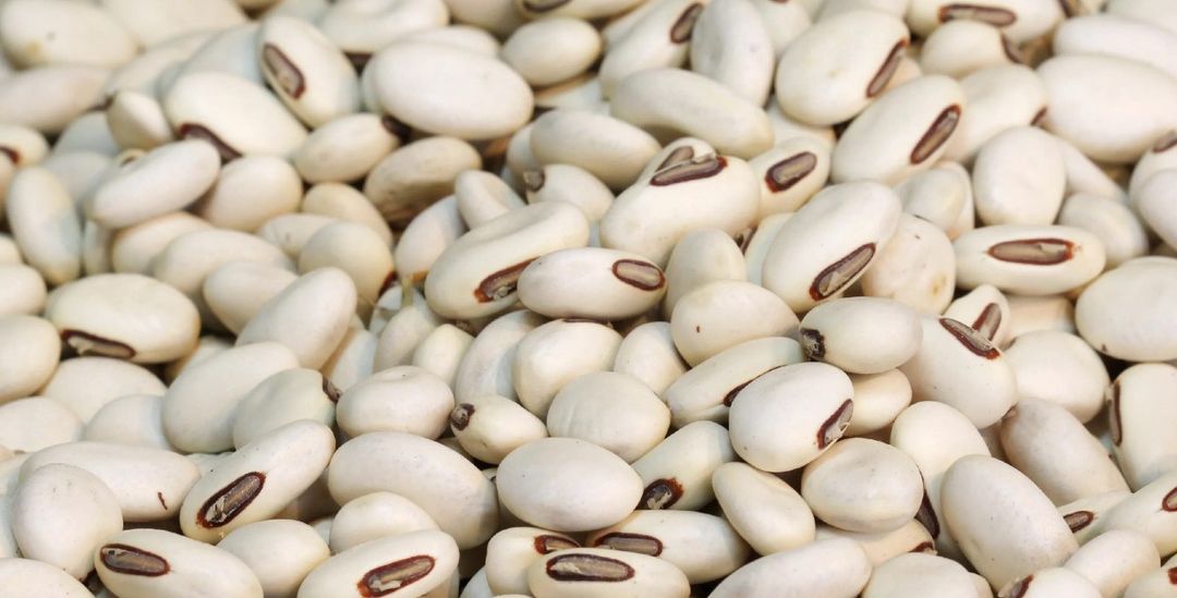 White beans|வெள்ளை கௌபி