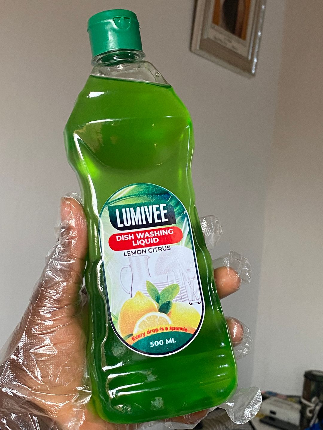 DISHWASHING LIQUID (500ml)