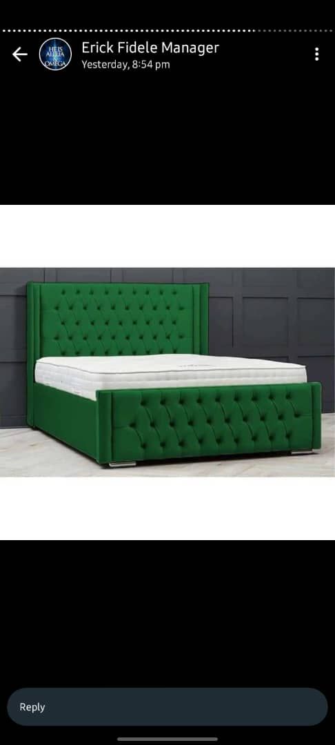 Luxury Velvet Upholstered Bed with Padded Headboard