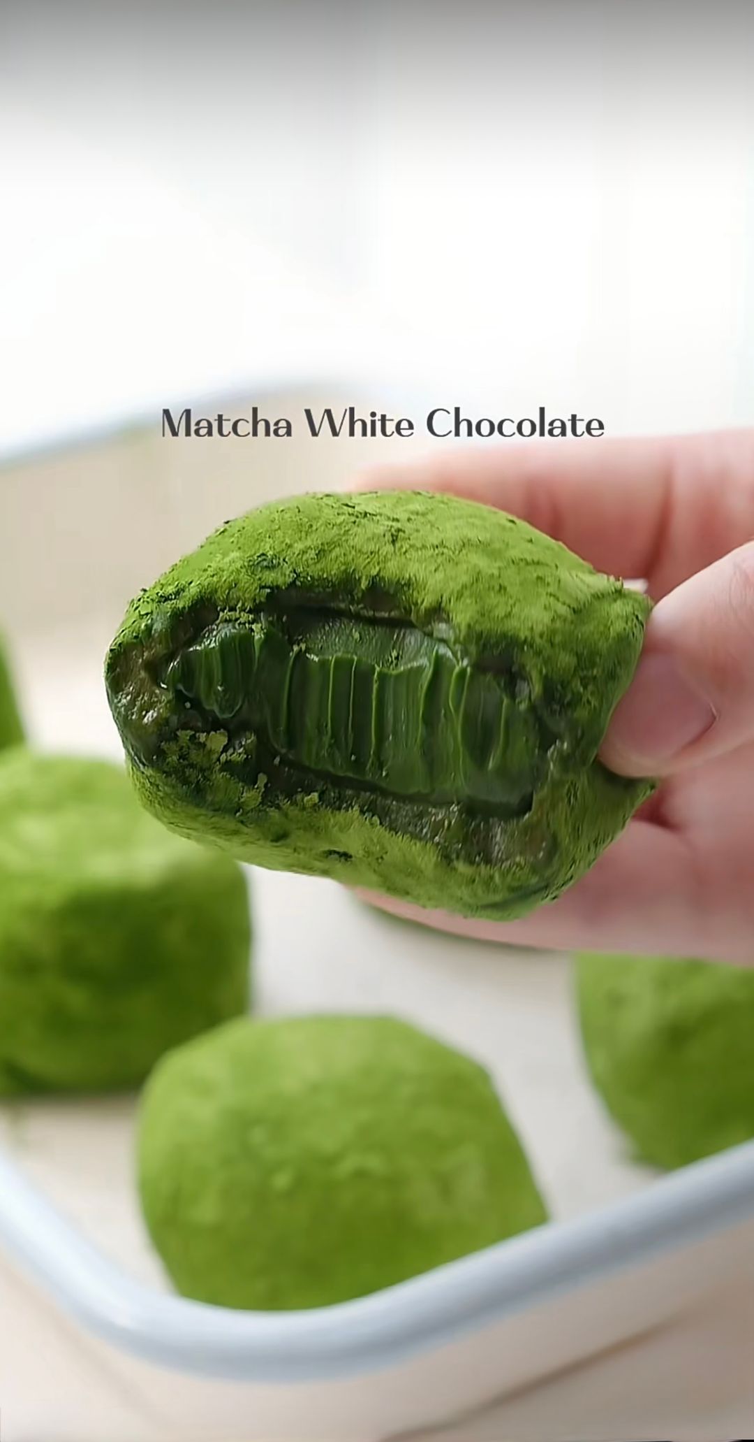 NekoNiko Matcha Chocolate Dafu 4pcs/box